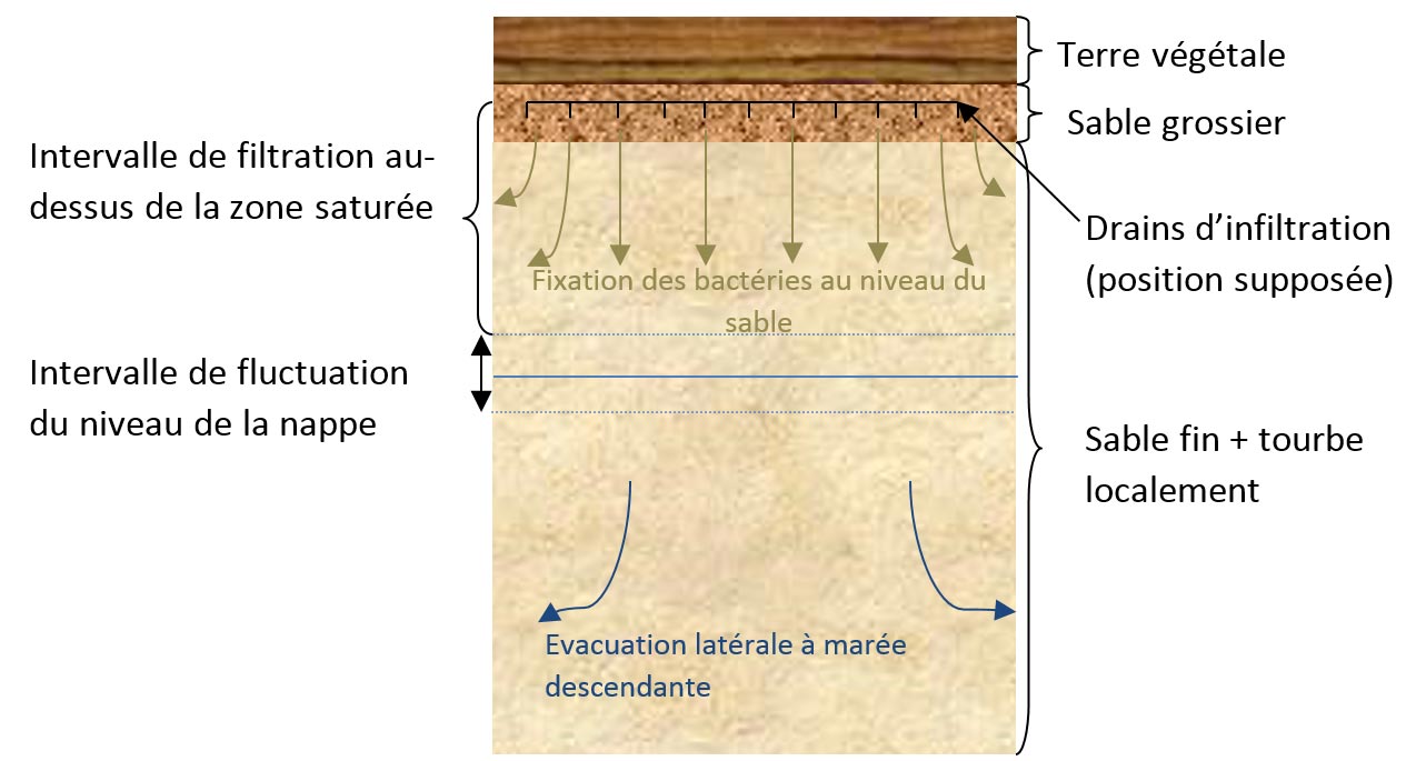 etude-hydrogeologique-infiltration-eaux-usees-traitees-station-epuration-centre-heliomarin-Pen-Bron-04