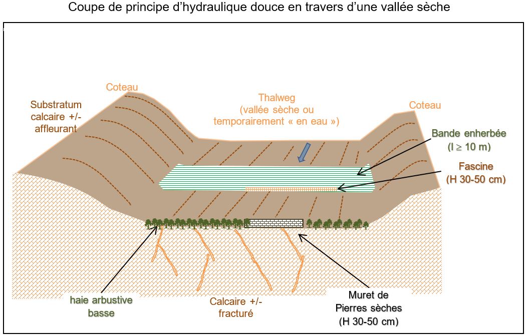 HYDRO_Calligee_Seneuil_Image_02