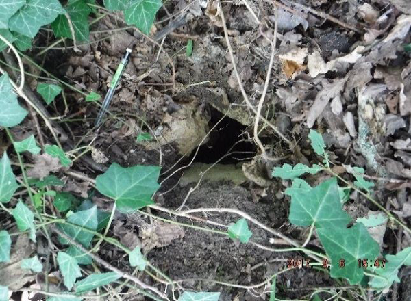 HYDRO_Calligee_Seneuil_Image_05